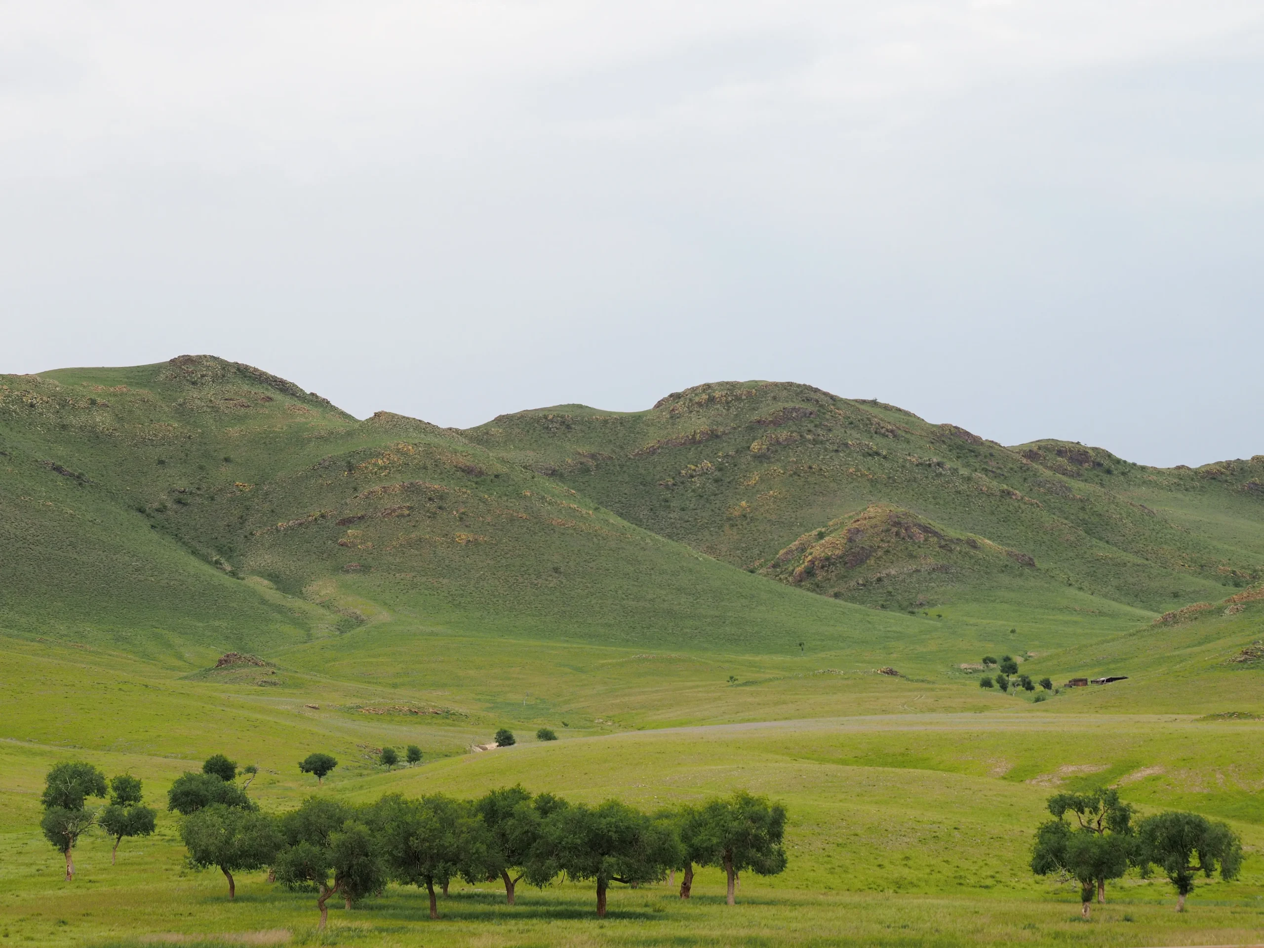 Picture showing the landscape